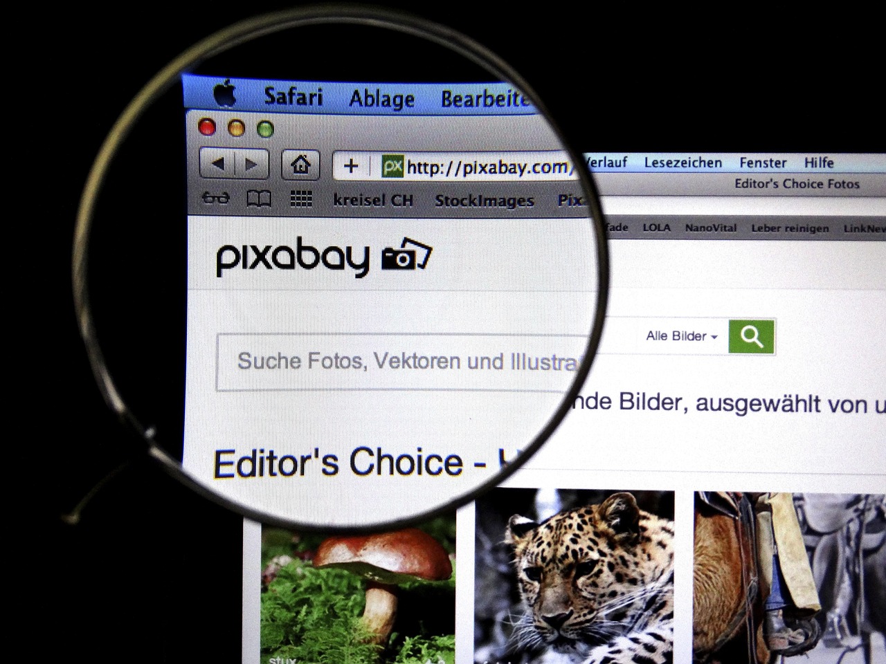 台湾网友最新评论聚焦中国,多元声音中的共同关切与关切焦点