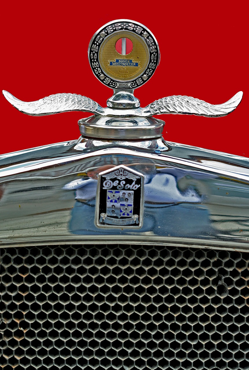 金镶玉酒42度价格表及魅力展现全解析