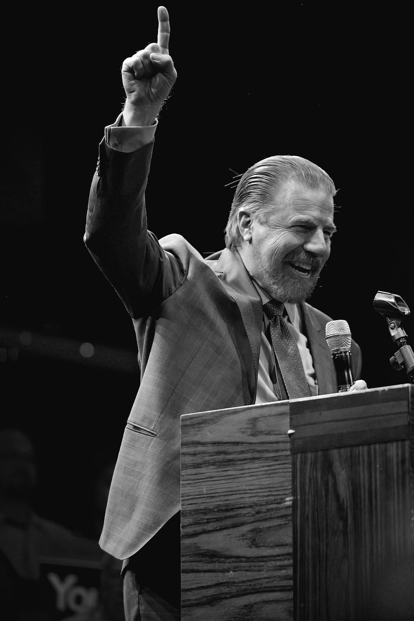 新野纺织股价动态,市场分析与展望