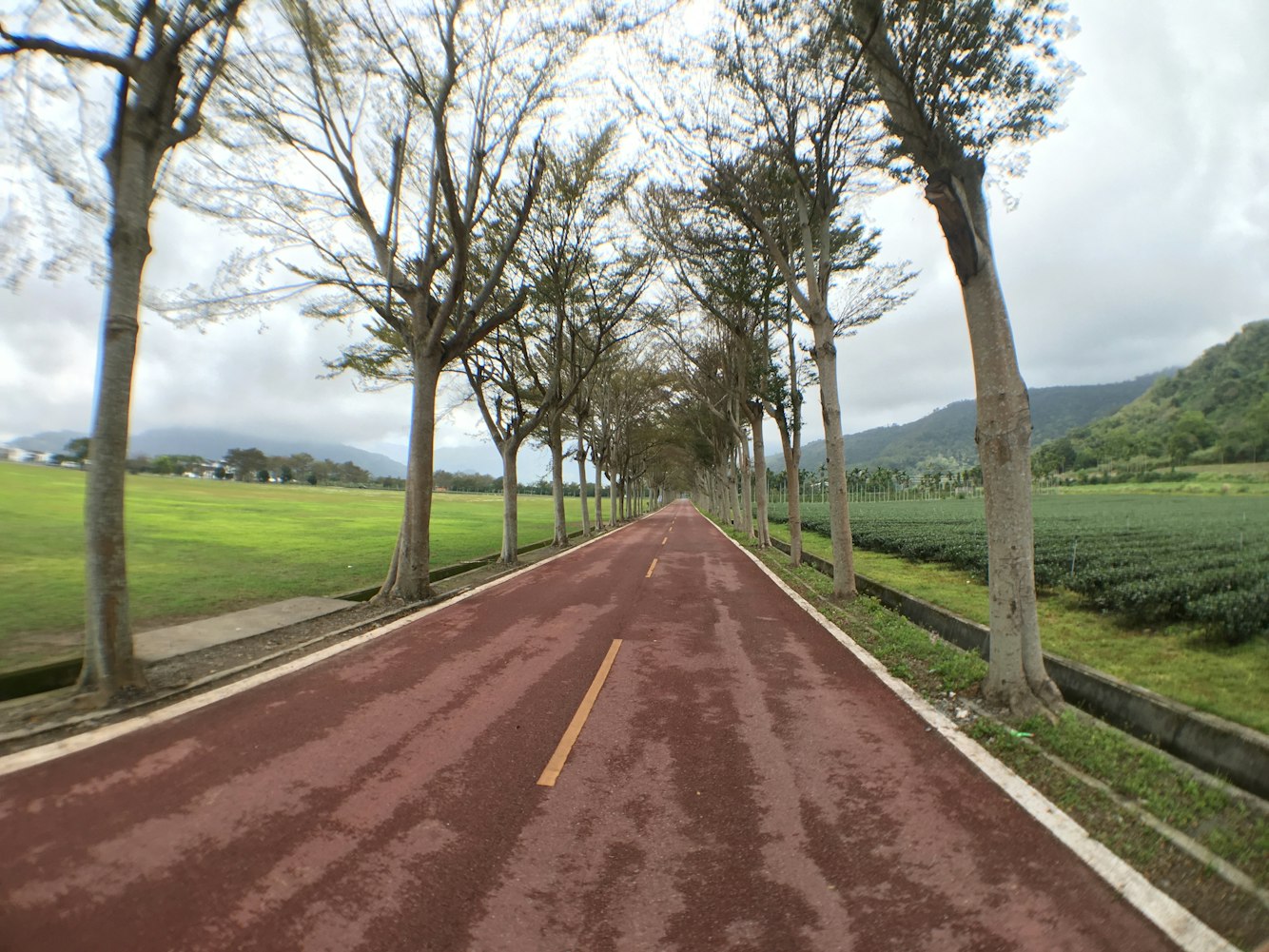 银盛泰任军最新资讯,聚焦发展动态与行业影响