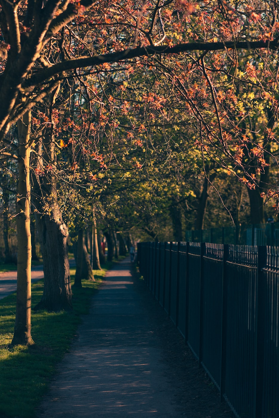 陈倩新动态，探索无限可能的旅程