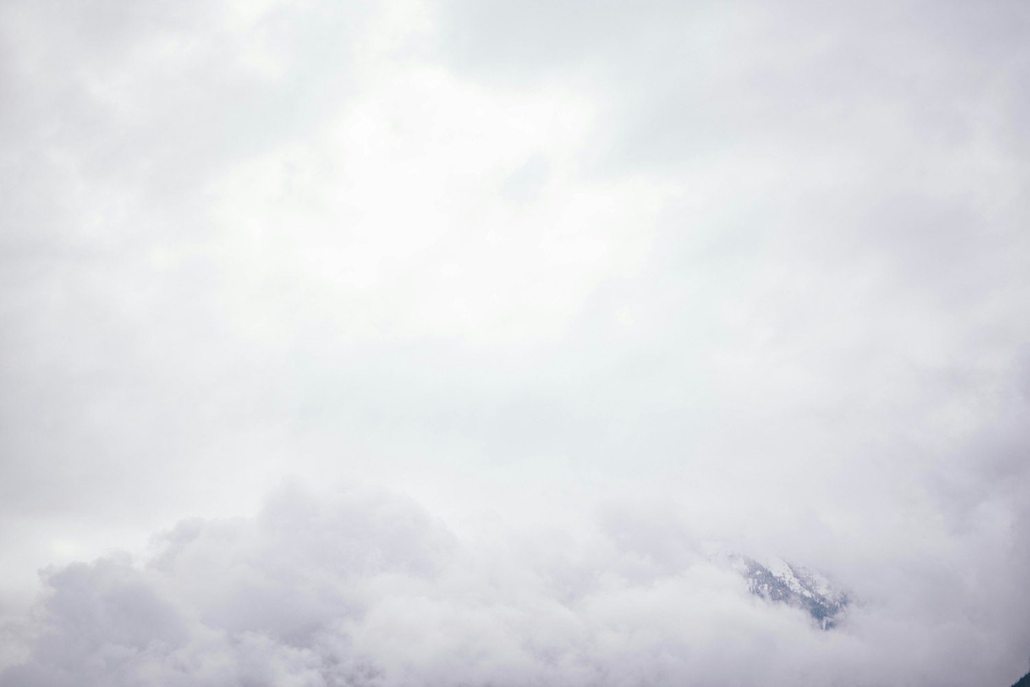 小智最新动态,探索未知,勇往直前之旅