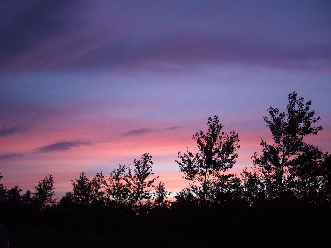 浮力电影,重新定义影视艺术的魅力,展望未来的趋势