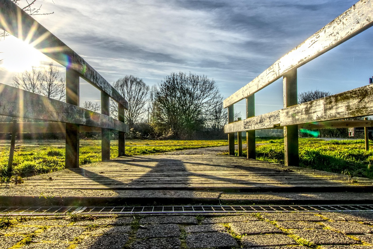 杨紫最新动态，闪耀之星，未来可期