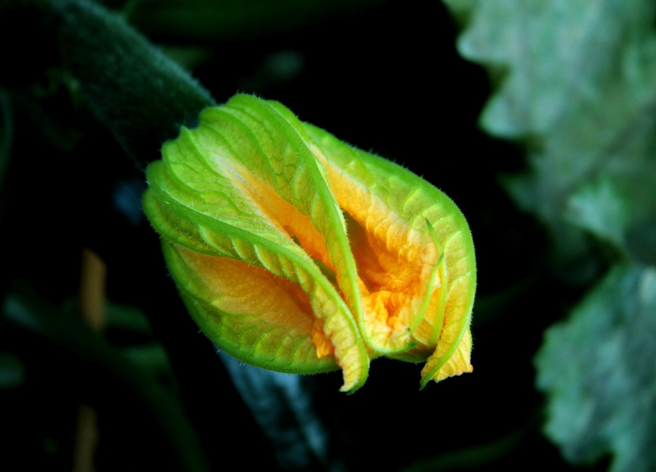 全球物流行业变革与发展,最新货运动态速递