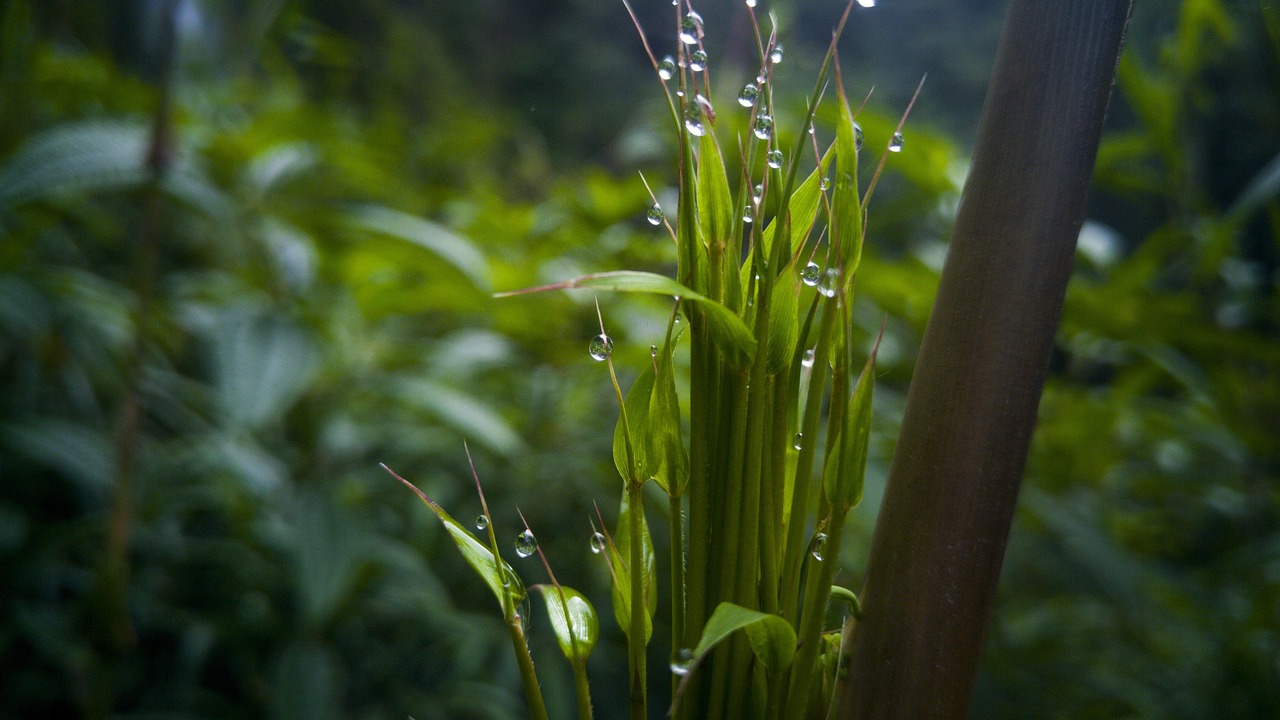 汉川北河最新动态,协同推进持续发展与环境保护