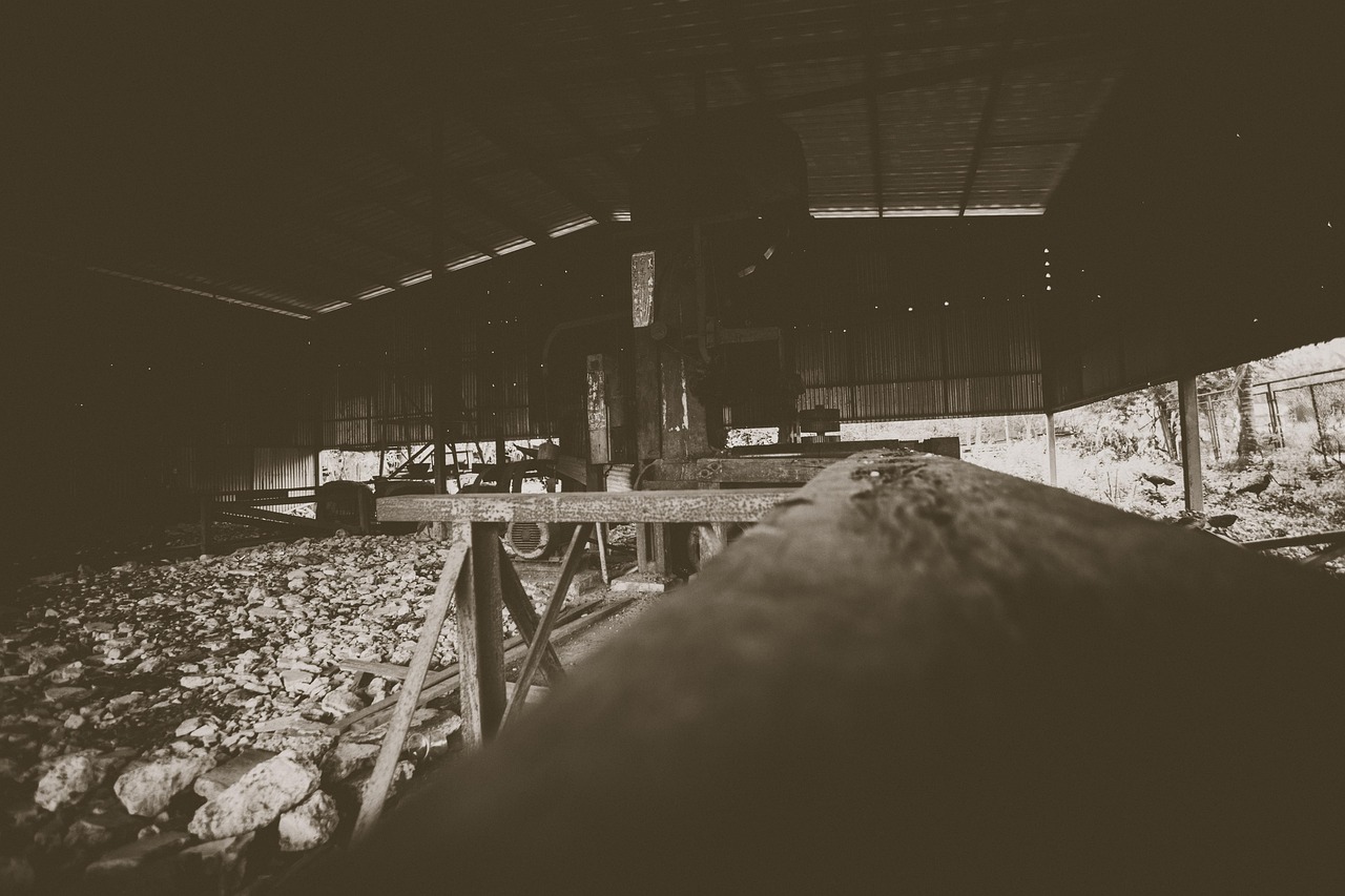 机械刀招聘信息概览与行业动态分析