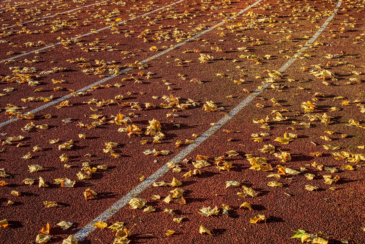 曲阜最新招聘动态与职业发展机遇探索