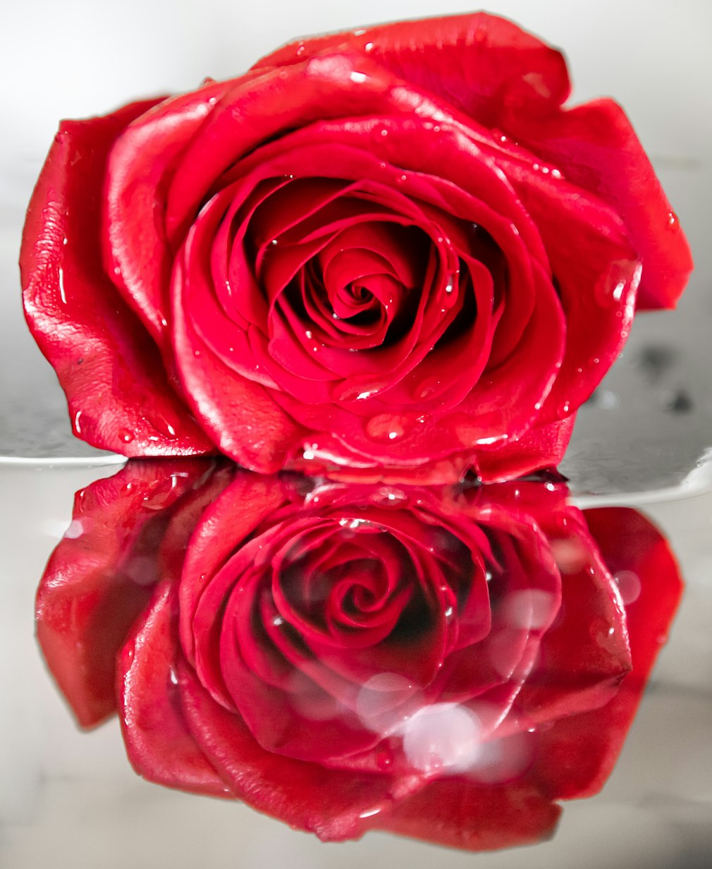 易烊千玺的新动态，艺术之旅不断前行