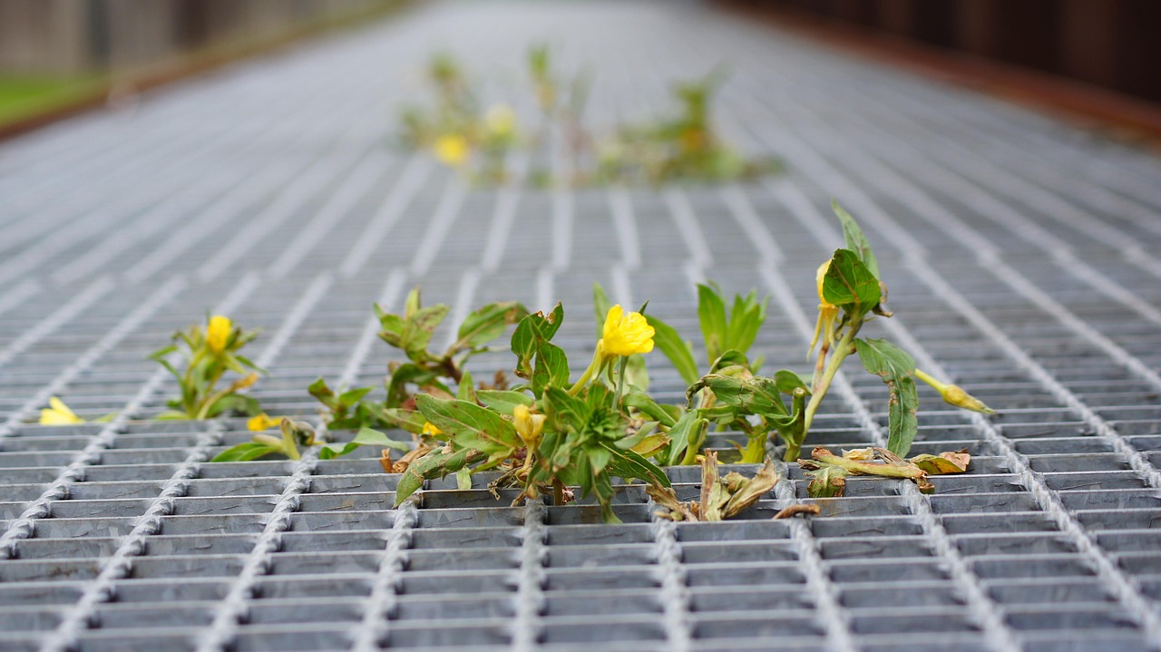 靖远煤电迈向高效绿色可持续未来之路的最新动态