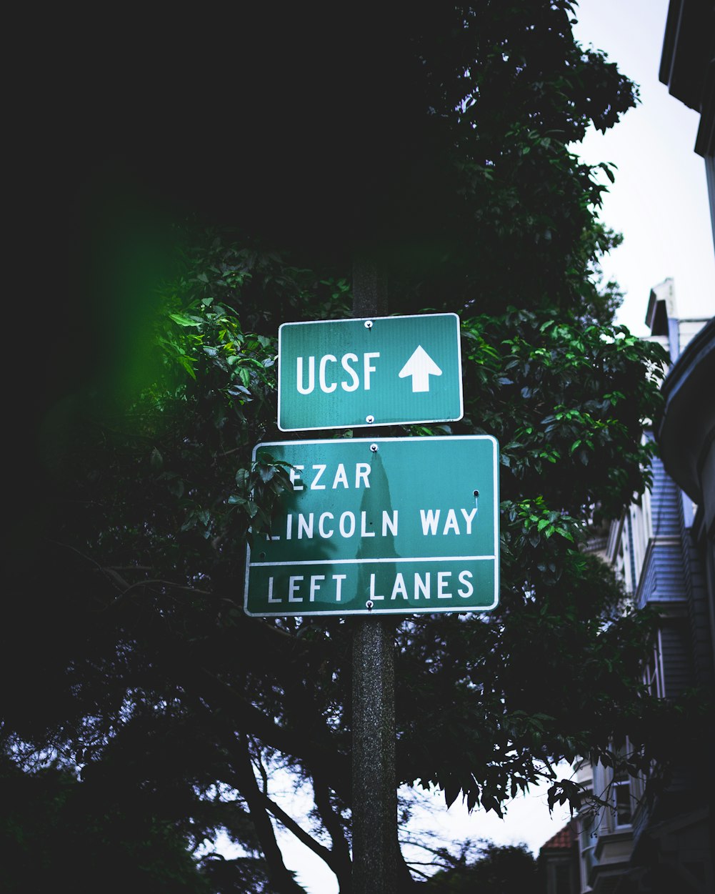 最新网络投资趋势探索，未来财富的新领域增长之道