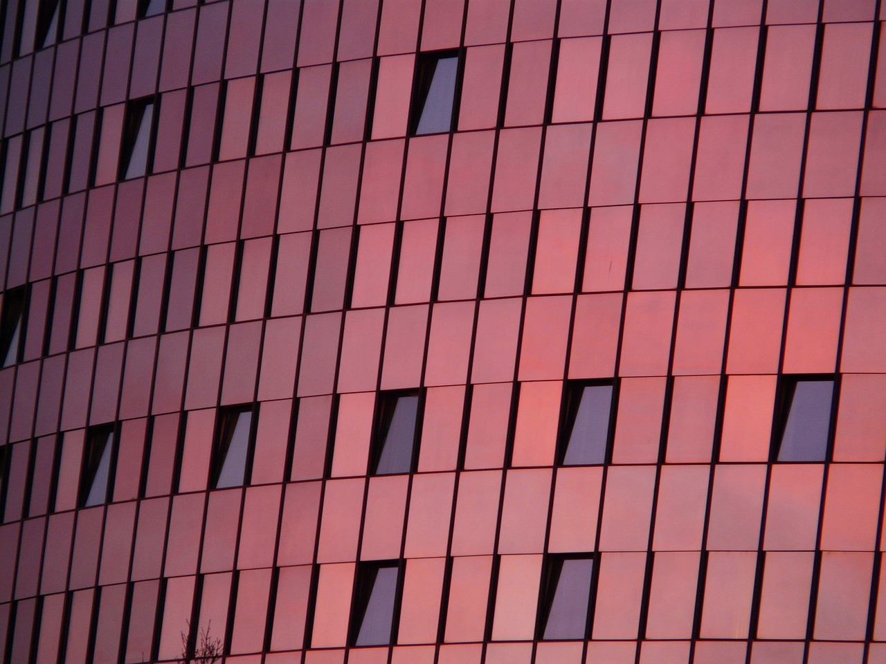 欧银管家最新动态引领金融行业新趋势