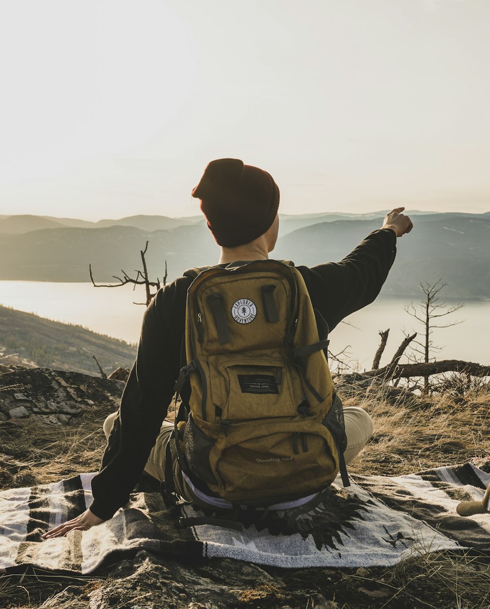 万家文化股票最新动态，市场走势、前景展望与最新市场分析