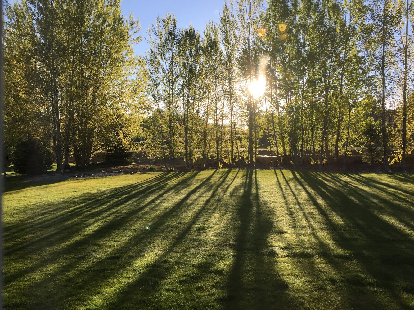 最新房源图片，探索房地产市场的最新动态