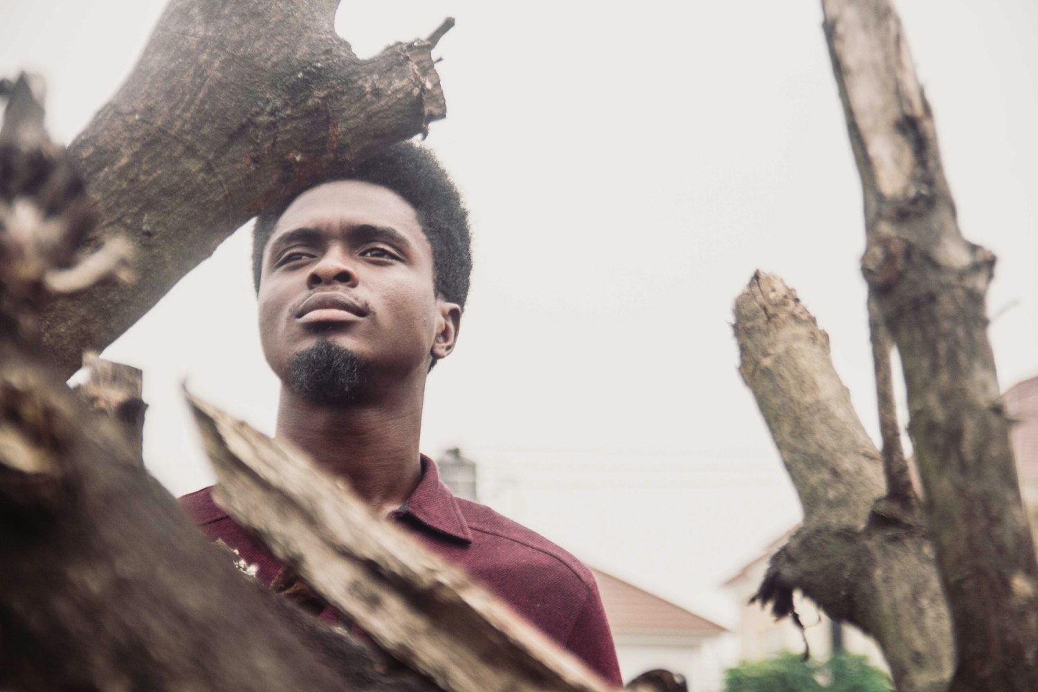 连城新鲜资讯,探索最新动态,洞悉未来趋势