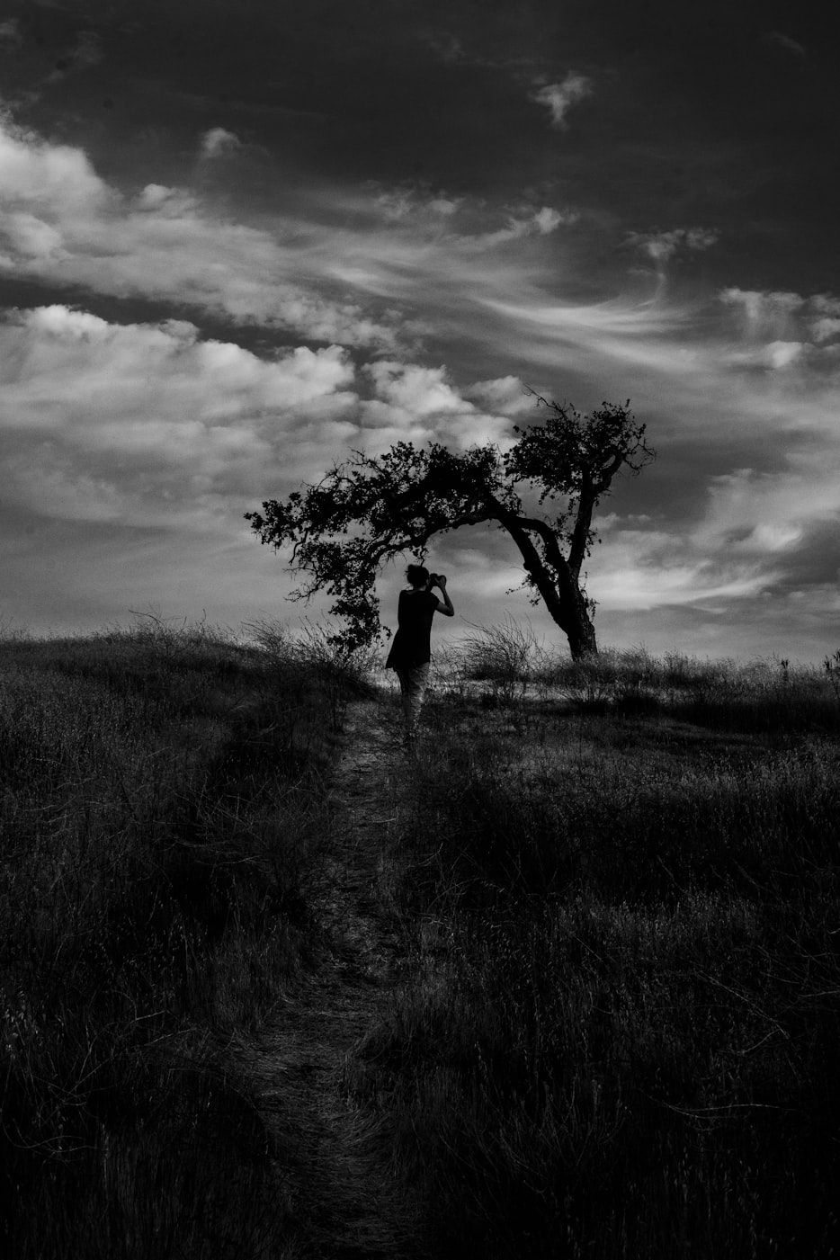 最新图文分享，探索、发现与分享的美好交汇点