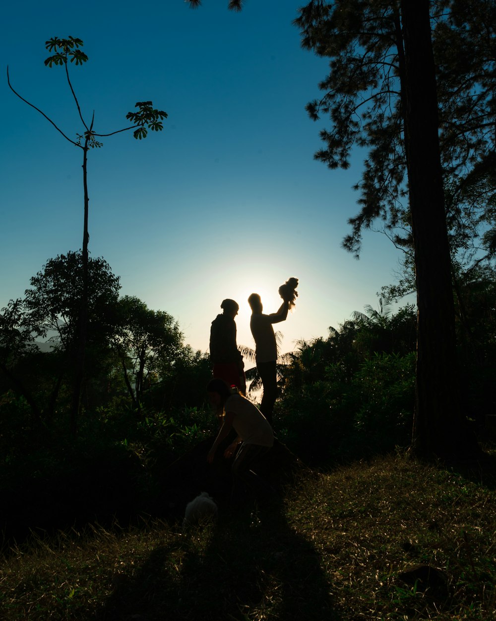 电影春娥,历史与情感的交织之旅