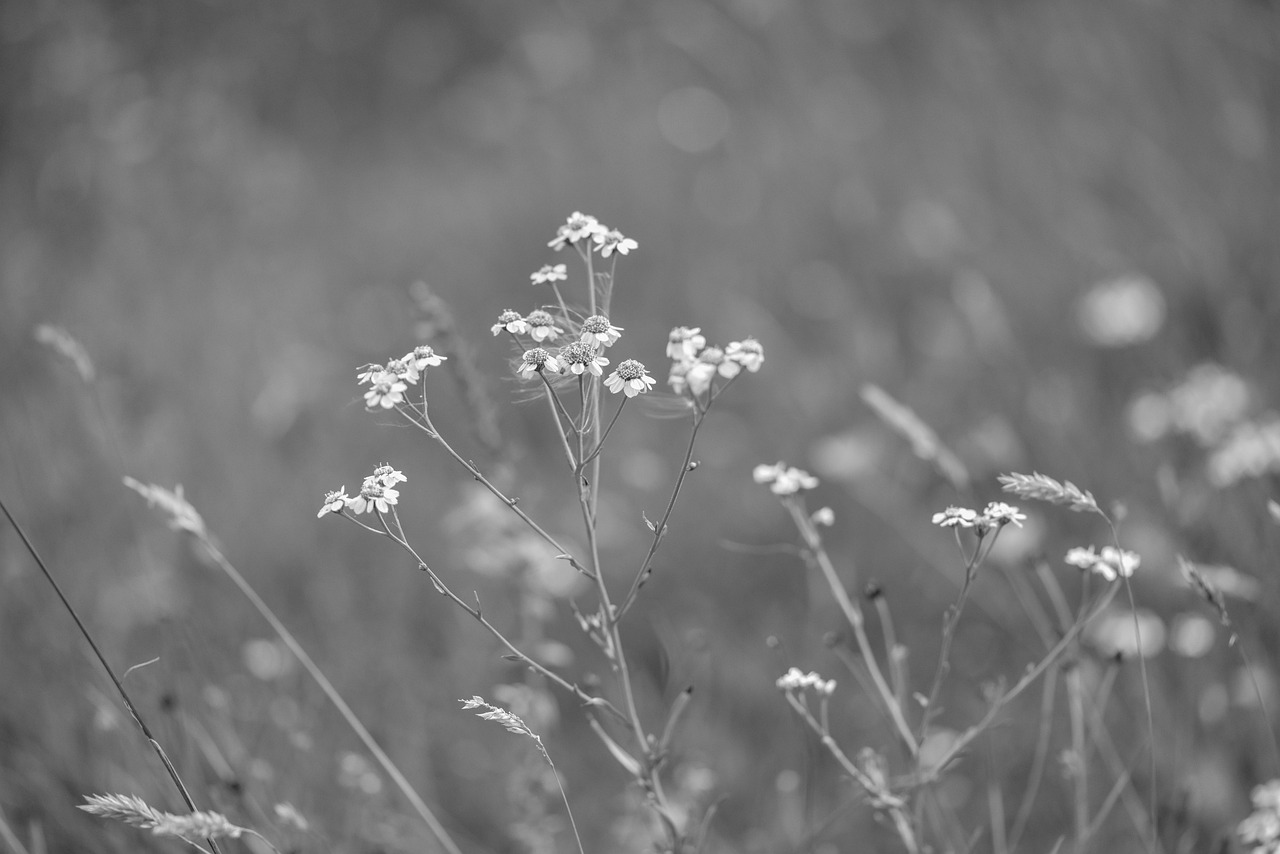上海92号汽油最新价格及动态分析