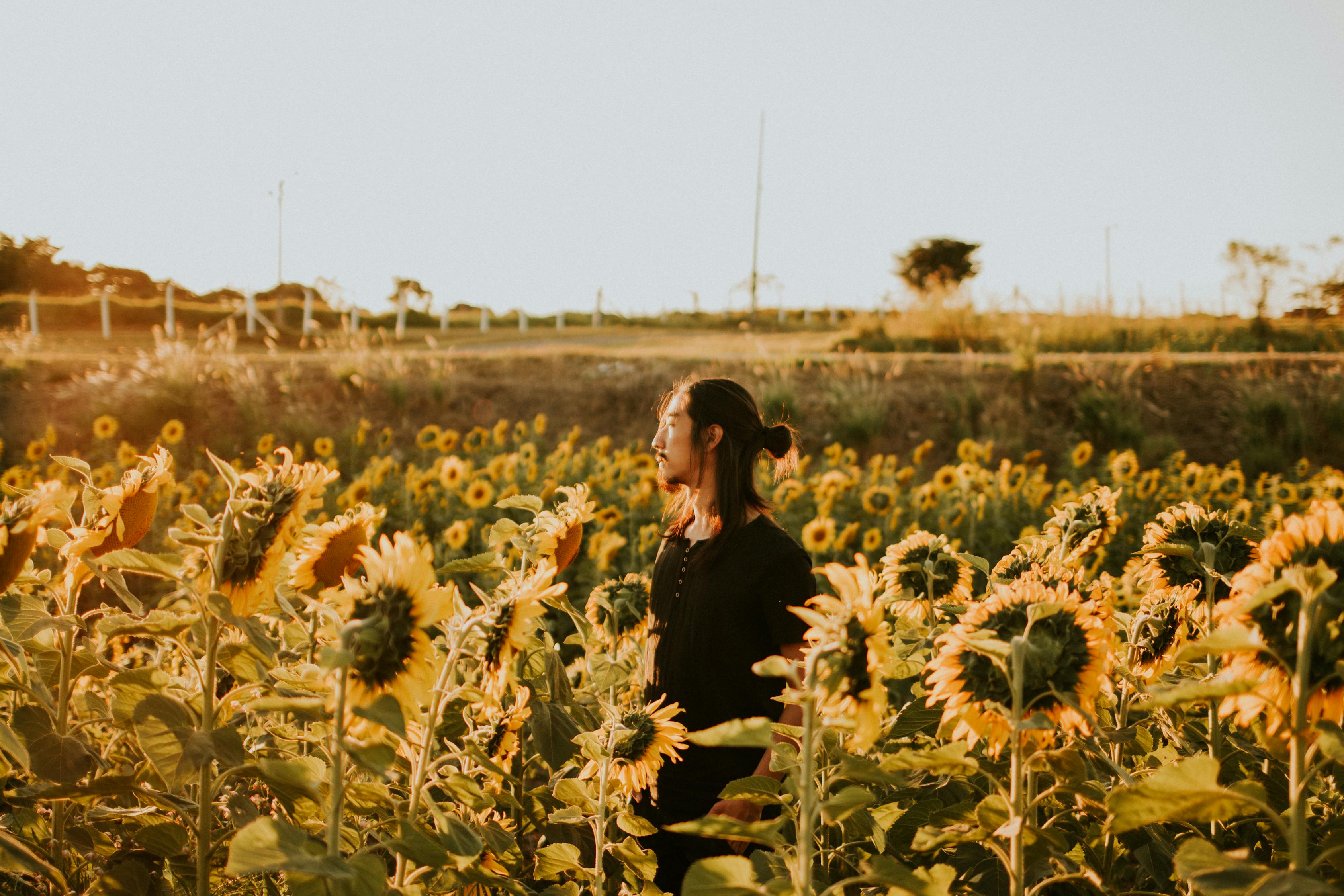 最新家庭农场名称大全及其独特之处