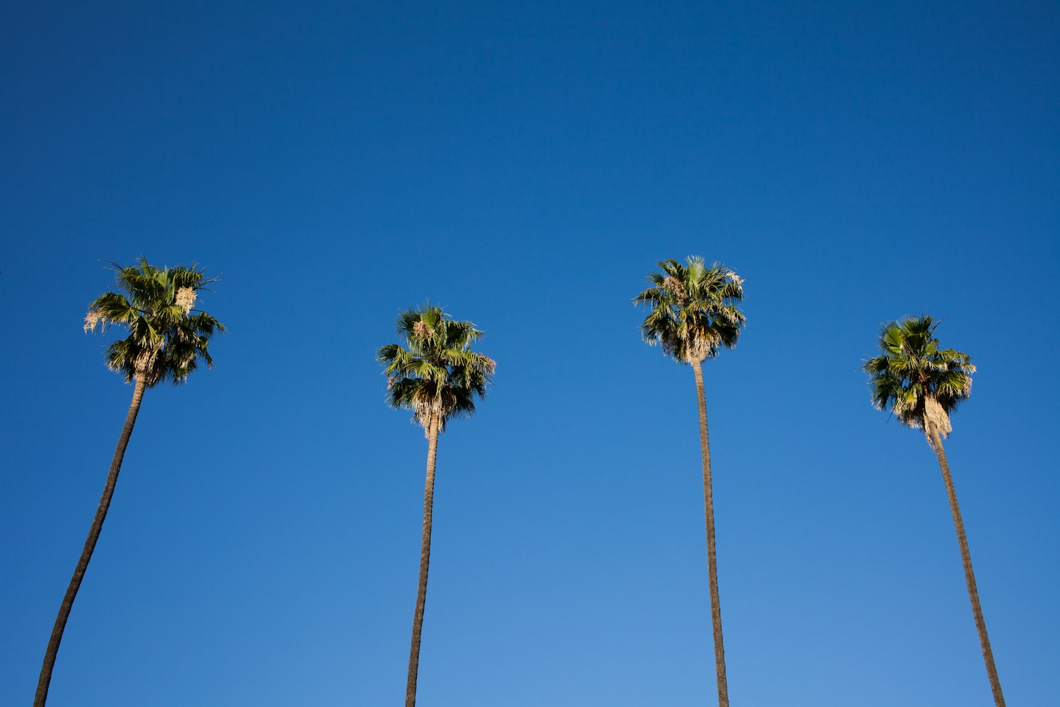 金智科技股票动态，探索数字时代的科技潜力之旅