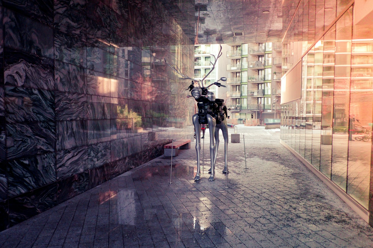 动漫人物图片，探索情感、艺术与文化交融的动漫世界