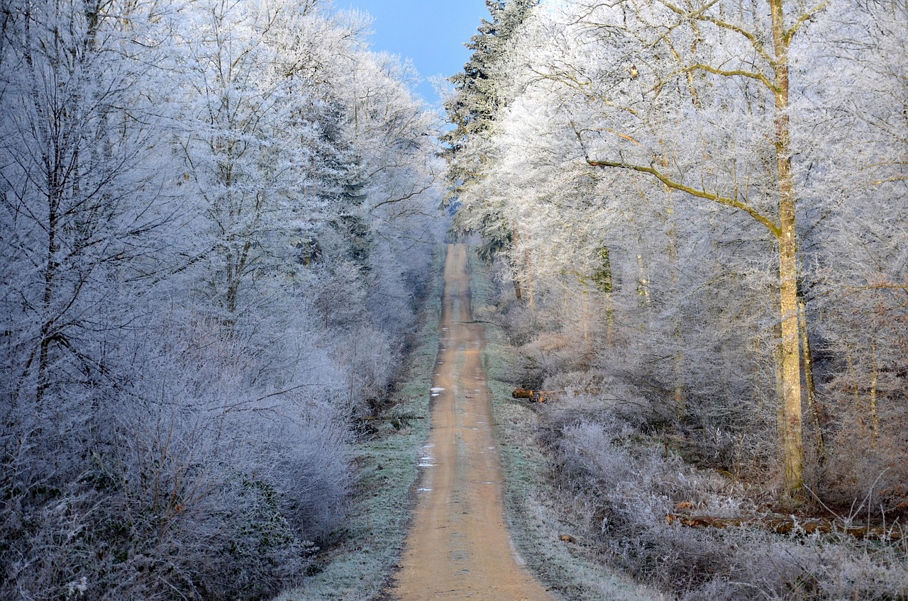 最新诗意集锦,探索美的无限可能