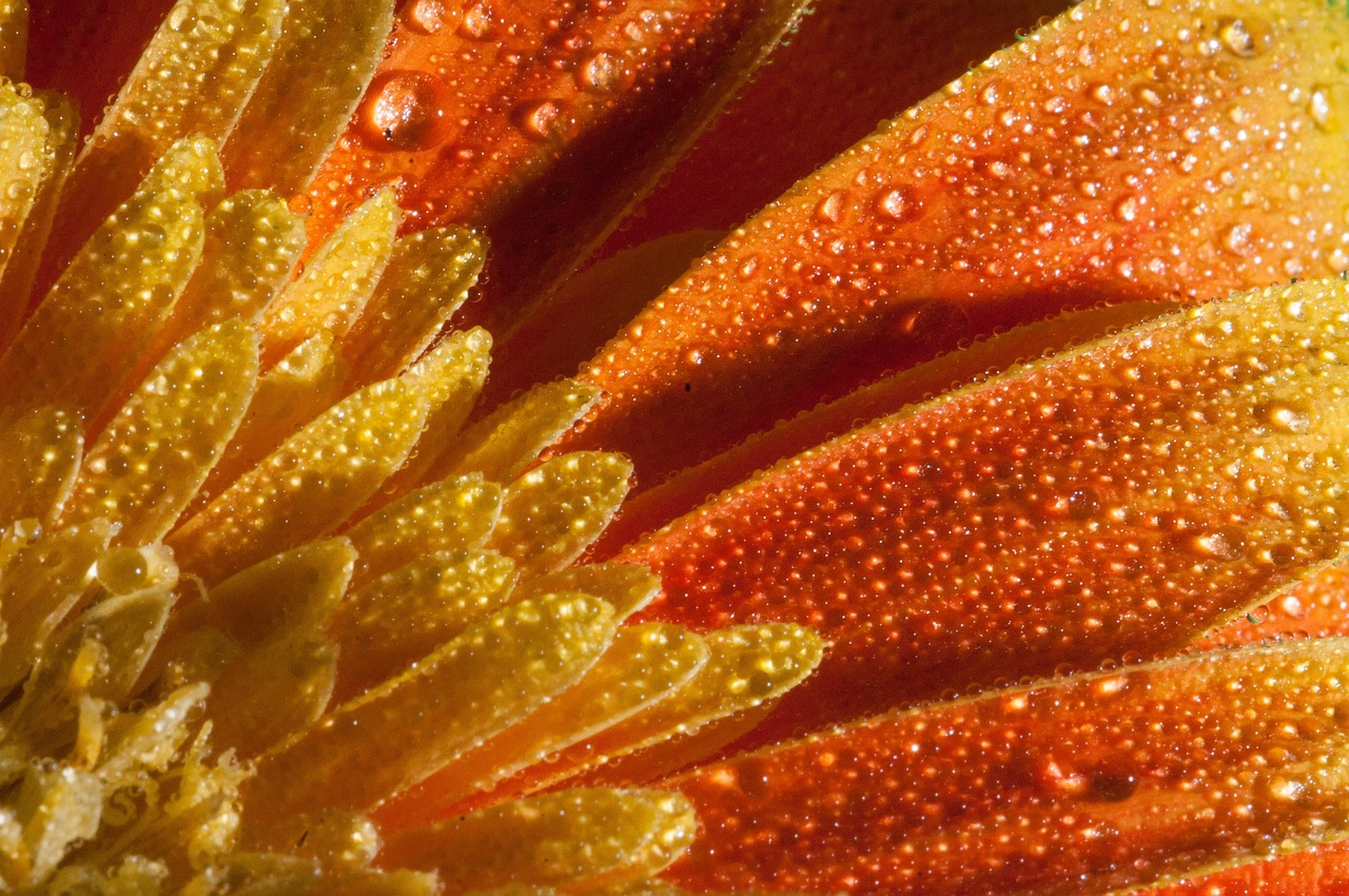 济宁市最新资讯概览,时事动态一网打尽