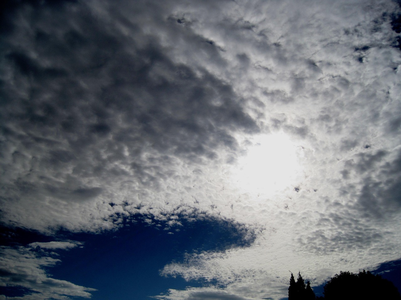 沈阳未来15日天气预报查询，气象预测与日常生活的紧密关联