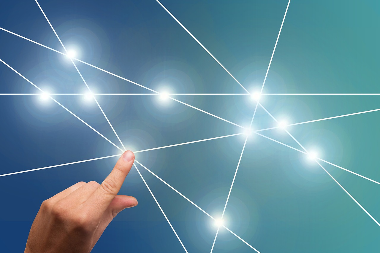 大豆行情最新信息及深度解析报告