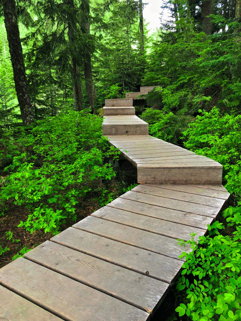 闫彦龙最新动态揭秘,成长轨迹与辉煌成就探寻