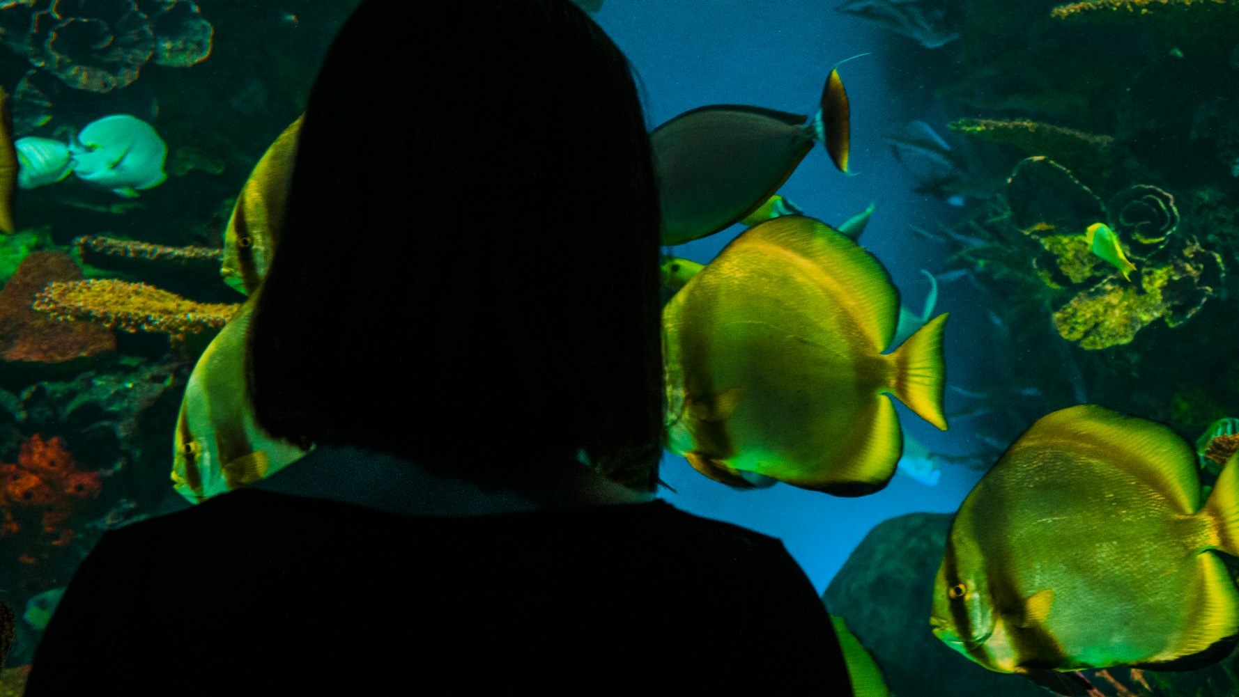 少女动漫世界,精彩纷呈的探险之旅