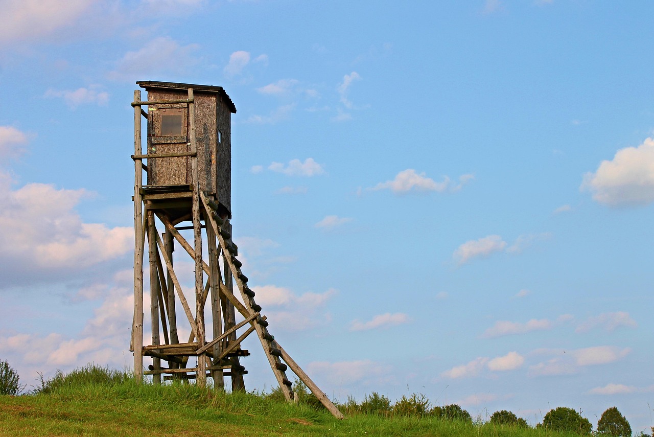 惠阳土地最新售价揭秘，市场趋势与前景展望