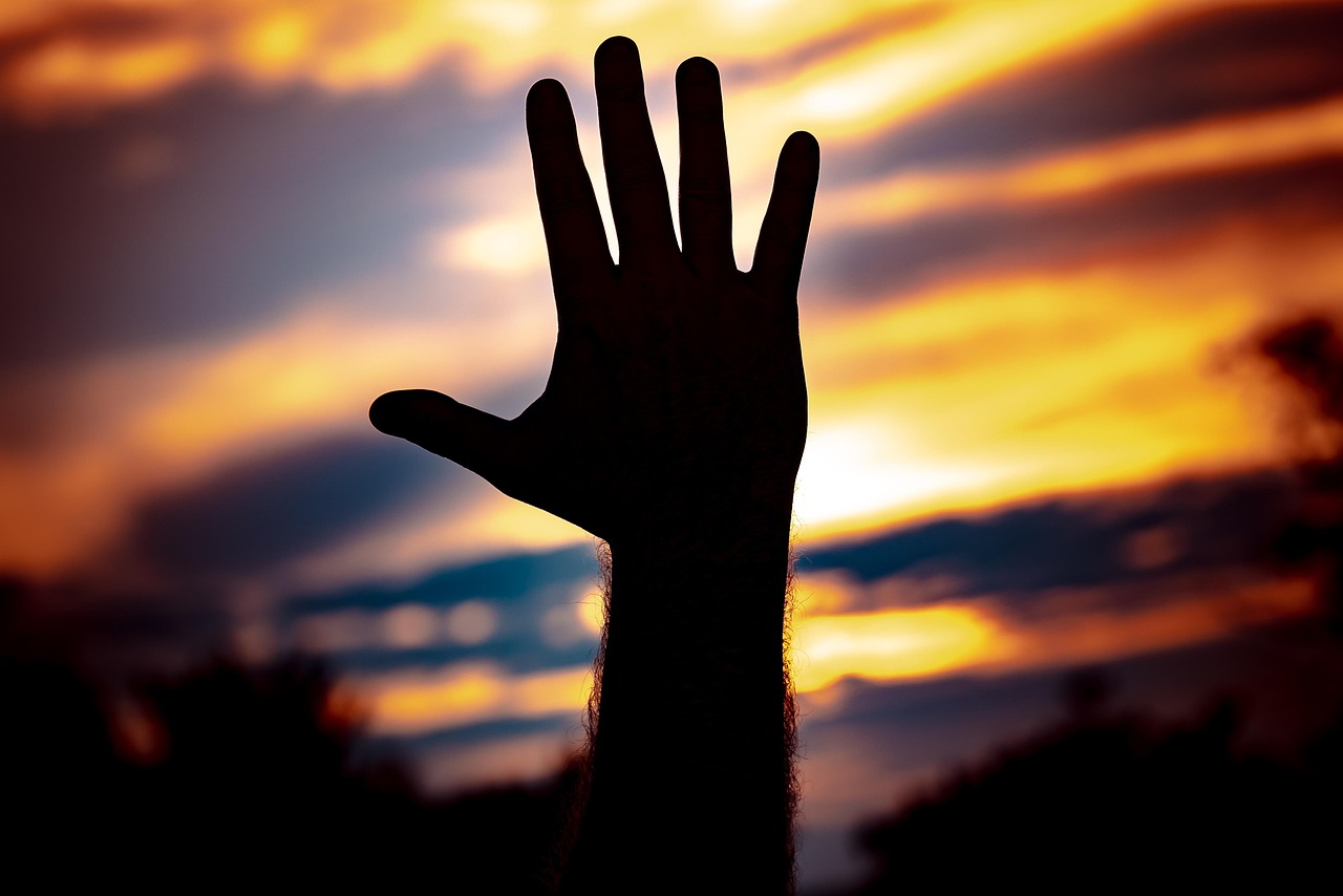 人行征信最新动态,更新及其对社会的影响