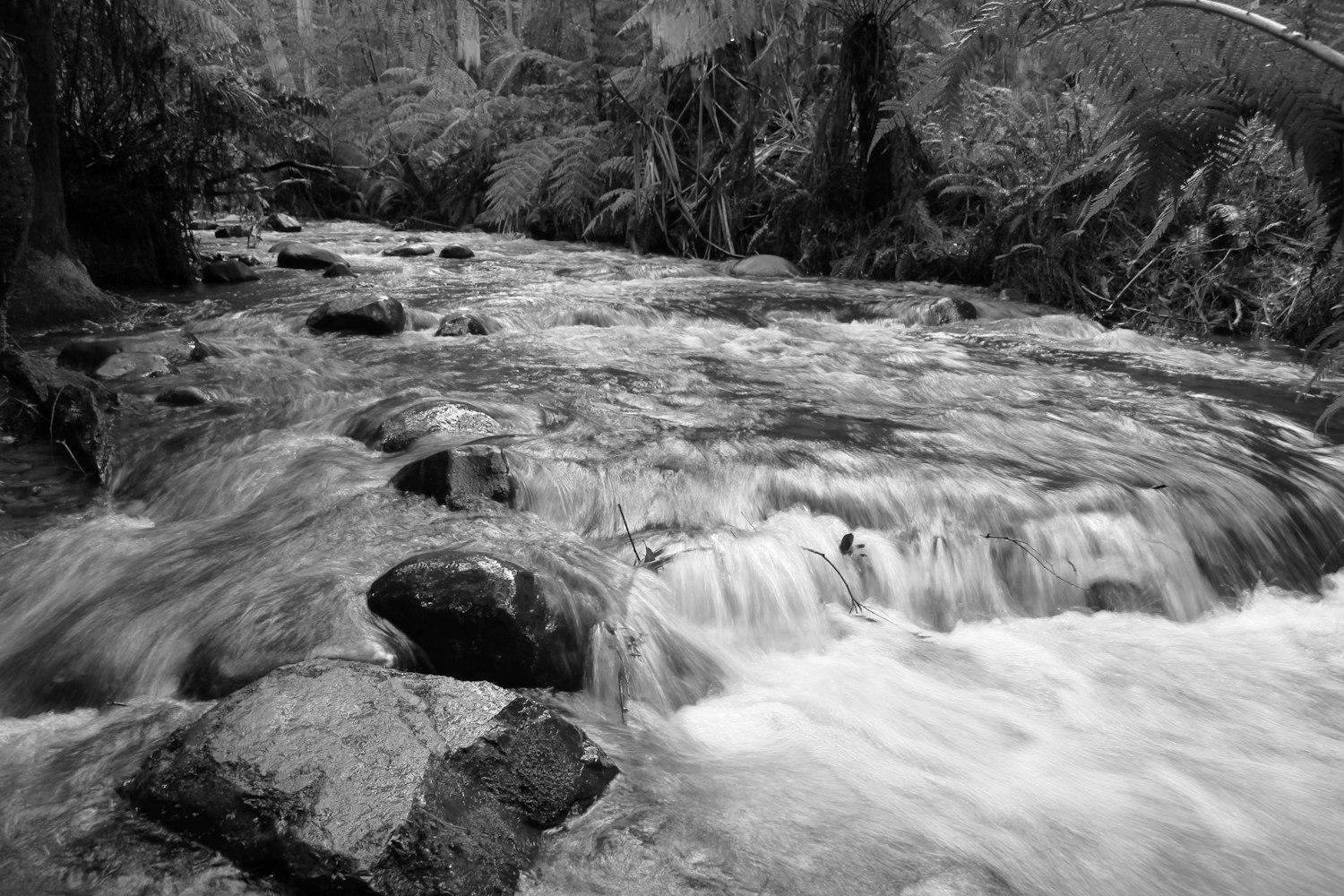 挑山者演员，坚韧与执着的艺术诠释者