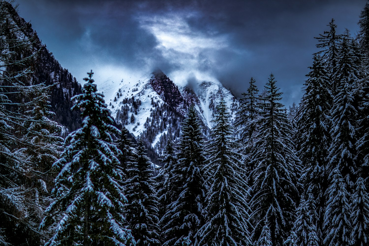 来宾市兴宾区最新资讯概览，全面解读来宾市兴宾区最新动态