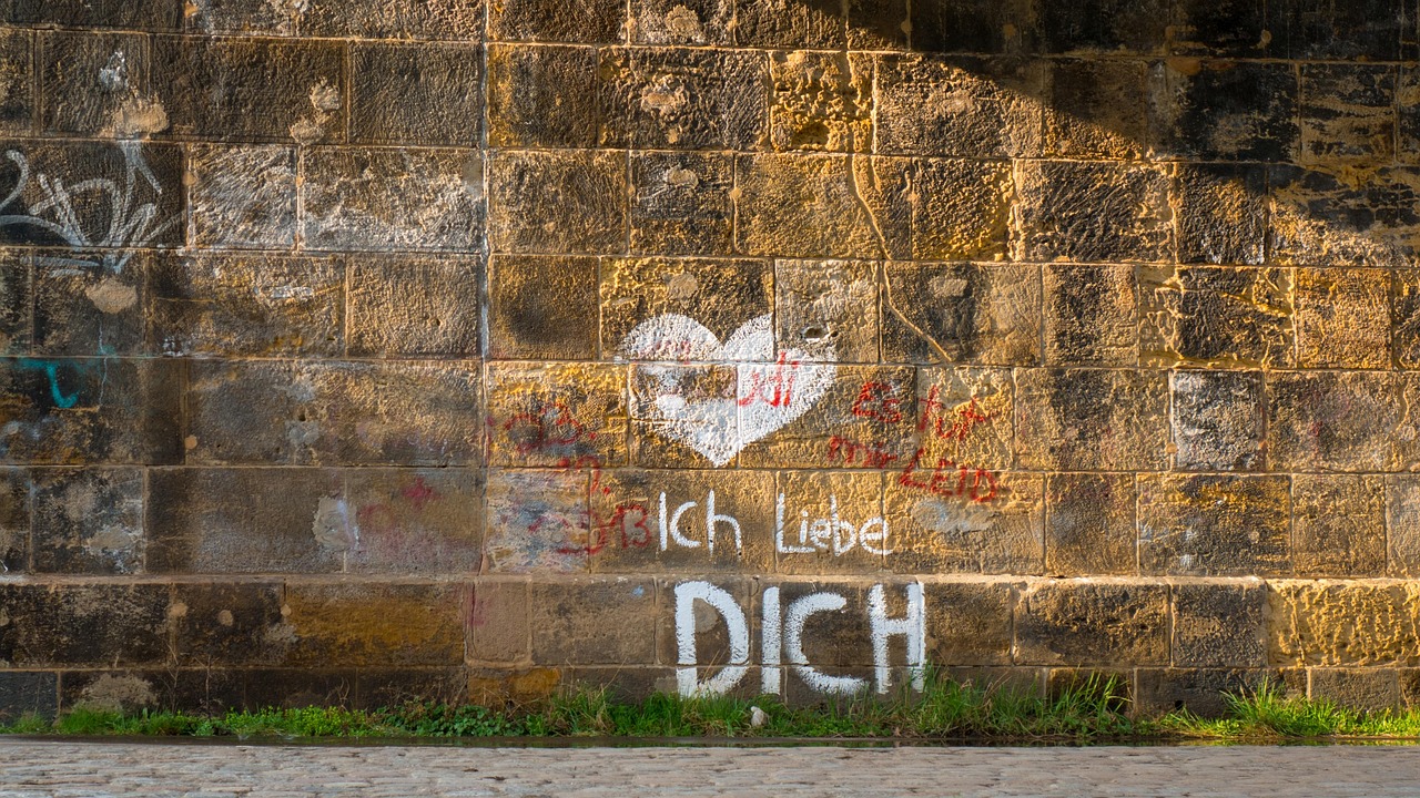 荒野乱斗国际服最新版本全面解析与探讨