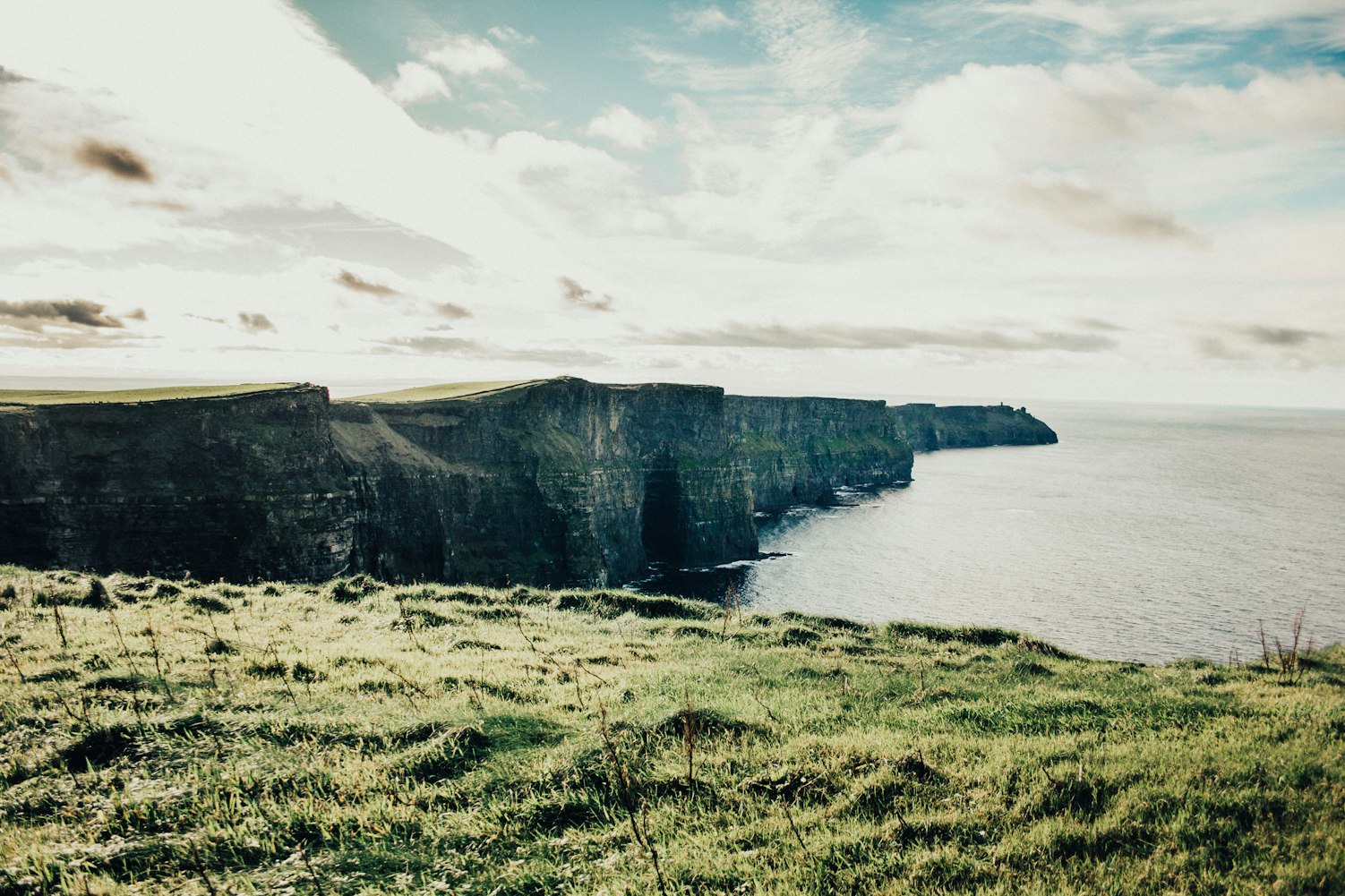 水井坊股价实时动态与市场走势深度解析