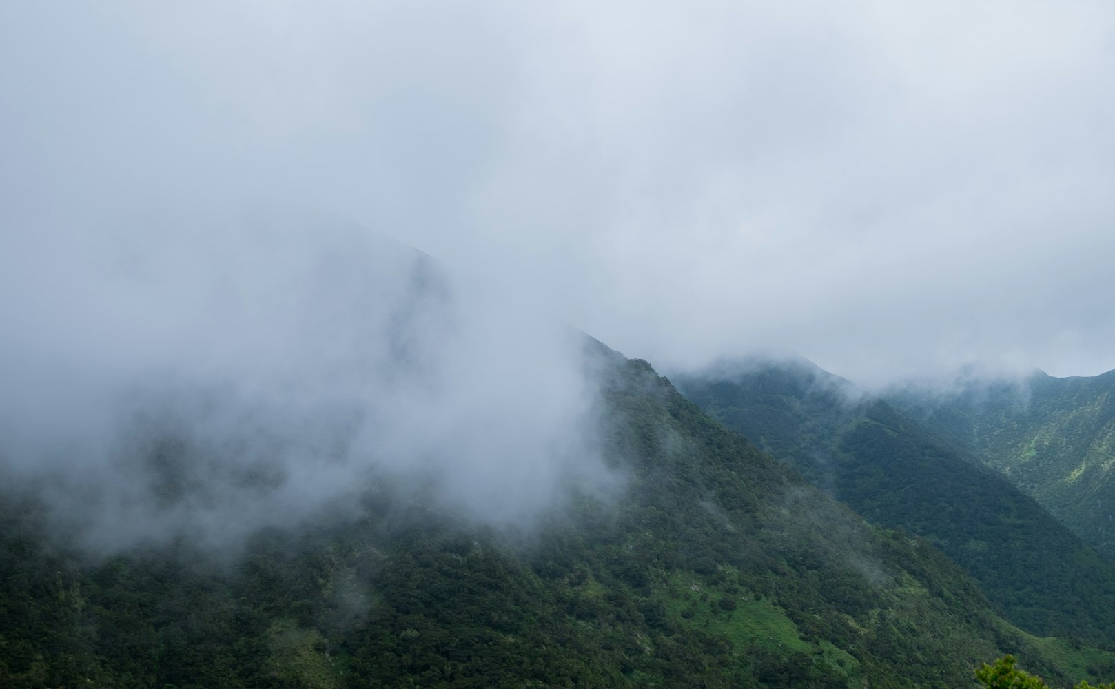林峰最新动态揭秘,揭开明星的神秘面纱