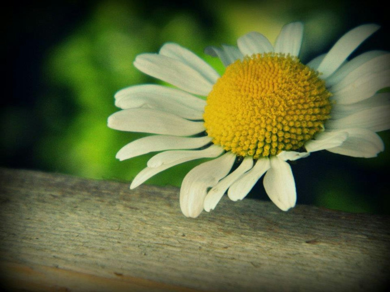 东疆湾资讯，探索新时代的海洋明珠，掌握最新动态资讯