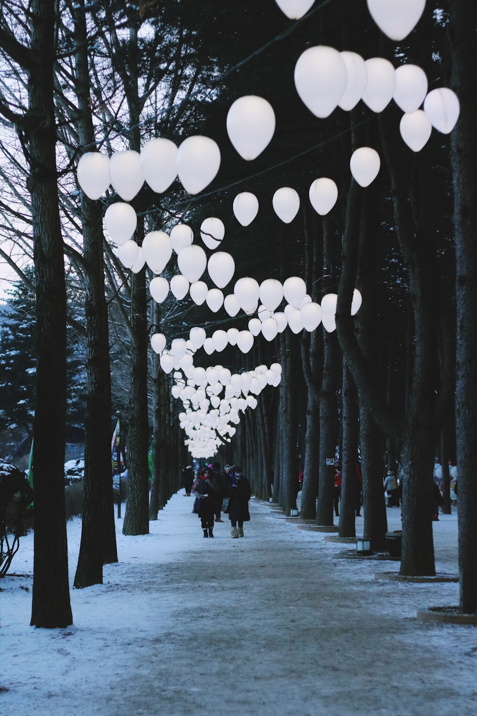 黑石韩国电影,探索之路与启示之旅