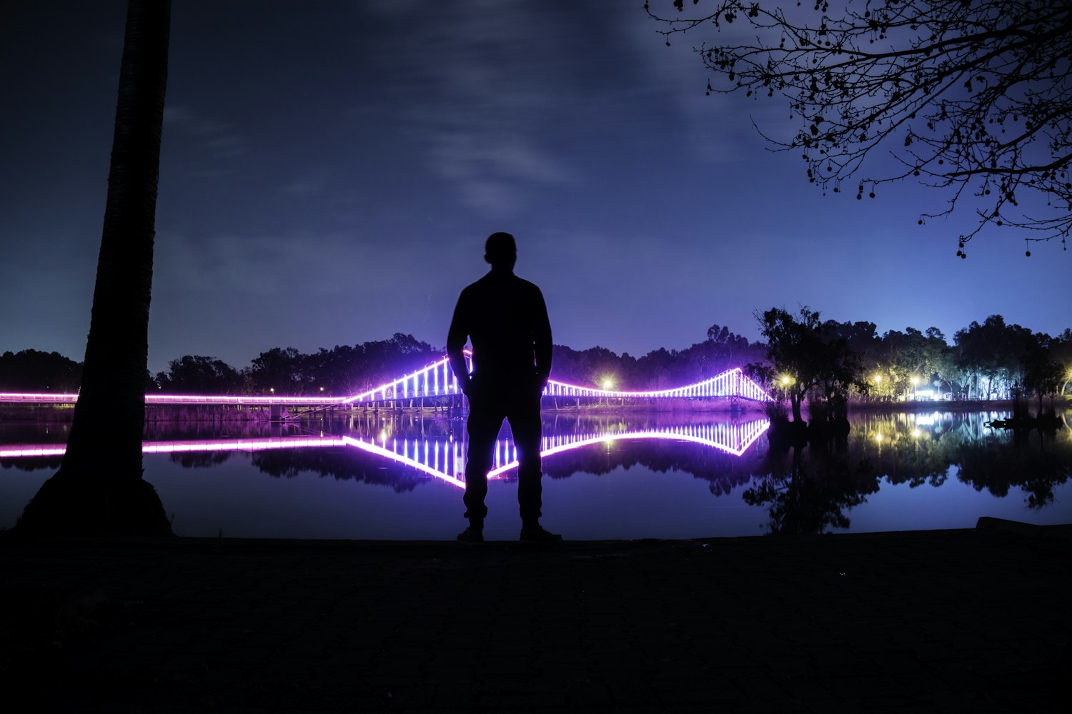 探索未来金融新模式,最新果贷黄发展动态及趋势分析