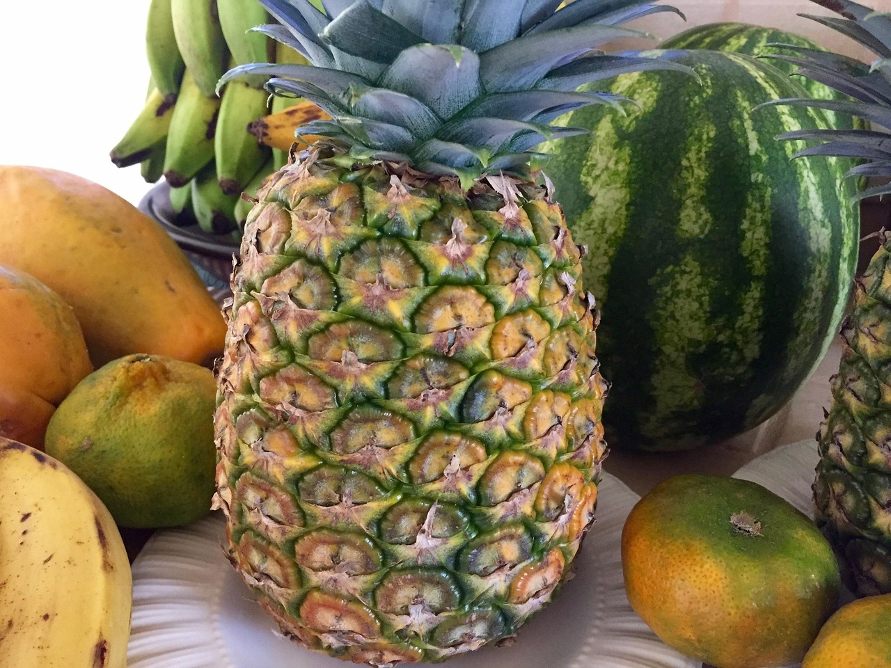 海南千禧果的上市季节，探寻热带风味最佳品味时刻