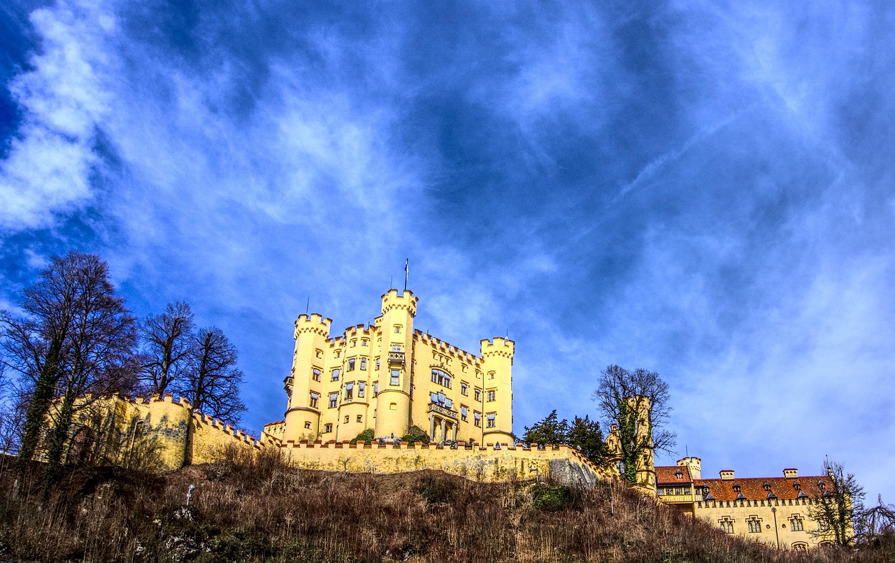 五号台风最新动态,全面解析台风影响及应对措施