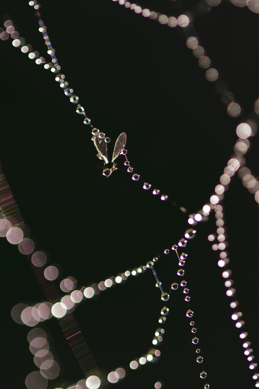 最新资讯集锦,科技、社会与经济多维透视深度解析