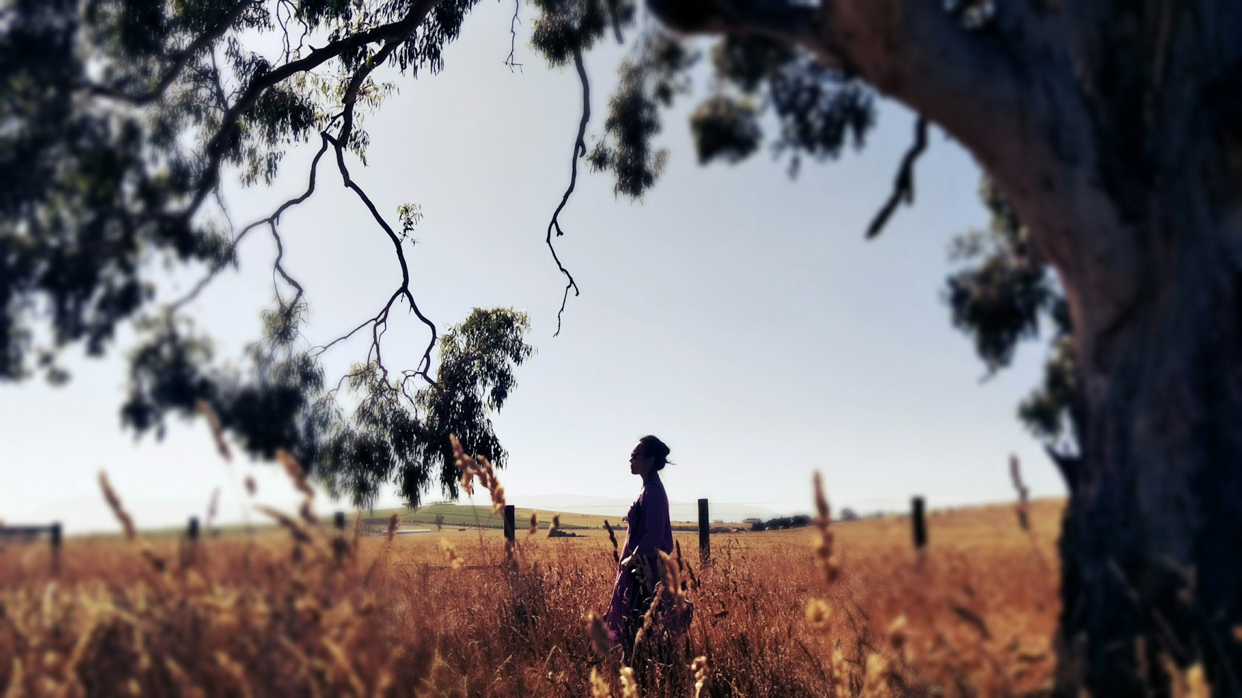 国产感人爱情电影的魅力与深远影响