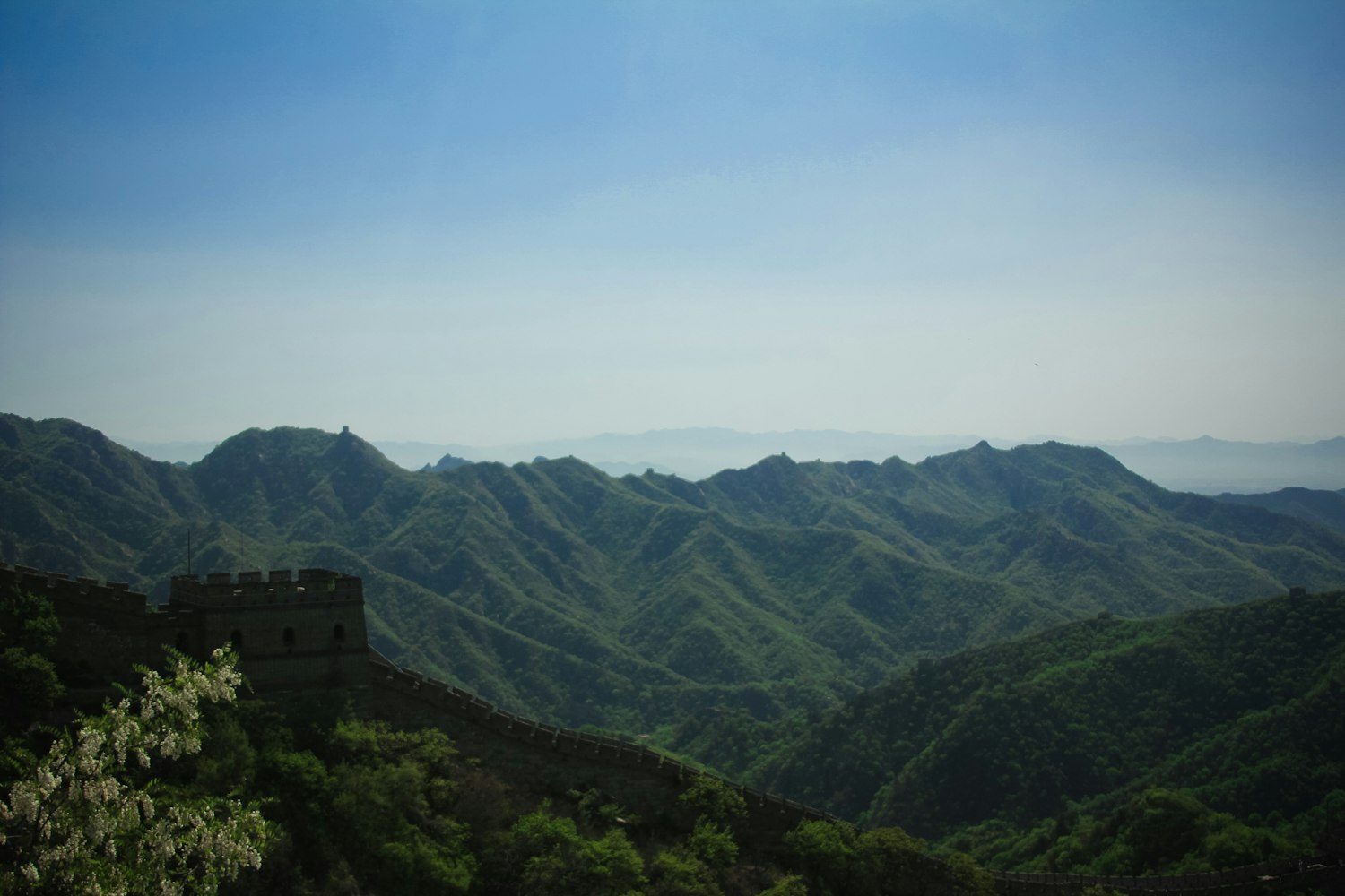 山东钢铁，持续创新引领绿色发展之路的最新动态