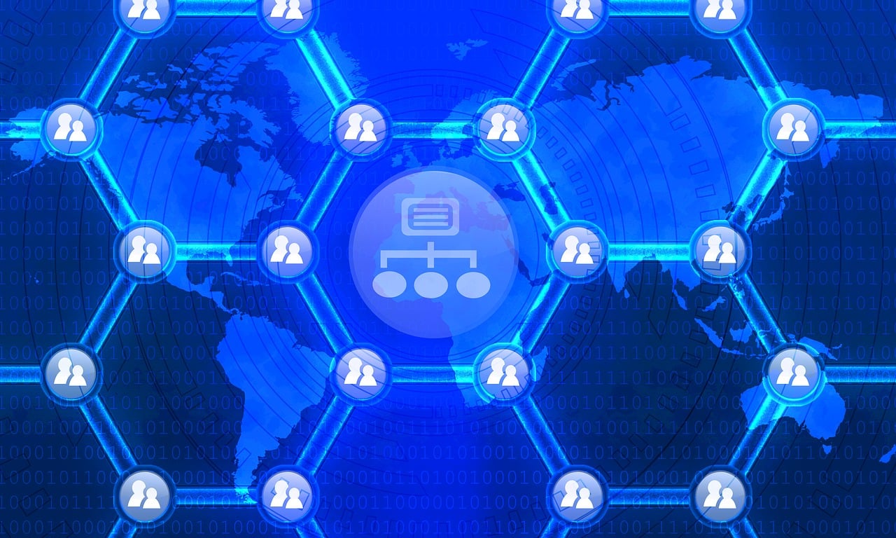 最新网址在线,数字世界的无限探索