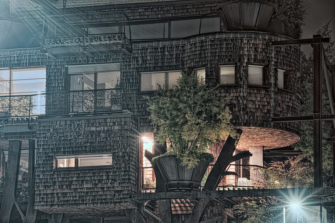 南昌杨子洲最新动态，城市发展与绿色建设的融合之路