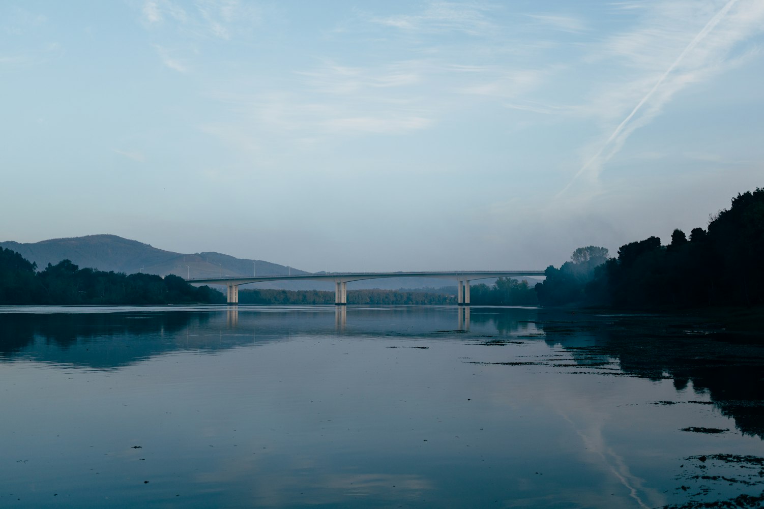 旺苍县资讯速递，县域发展的最新脉搏与活力展现
