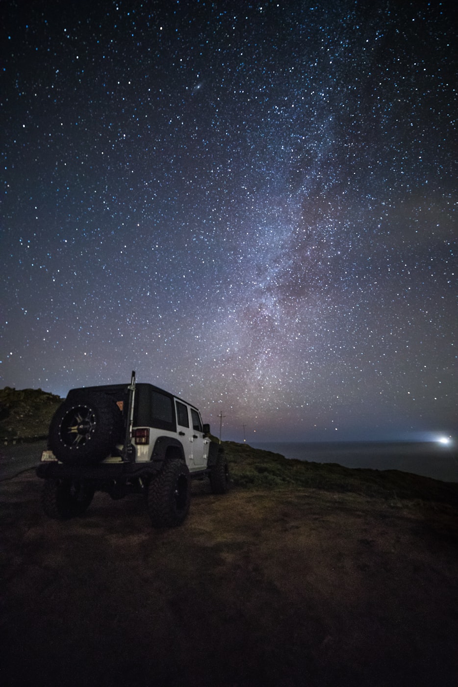 狮子明星,力量与荣耀的象征,闪耀星辰之路